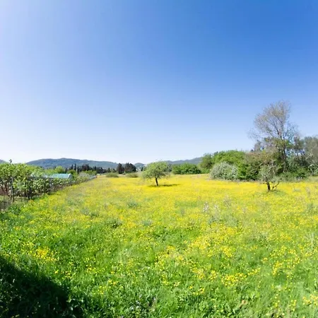 Lydia's Apartament Mármaron